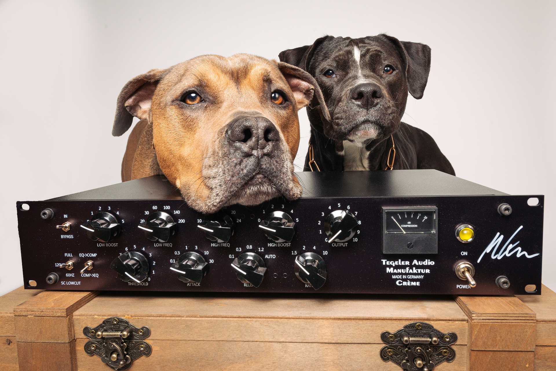 Creme Black Edition - all proceeds go to Tierheim Berlin Creme Black Edition - all proceeds go to Tierheim Berlin